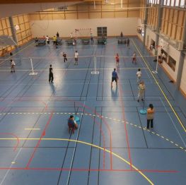 image related products