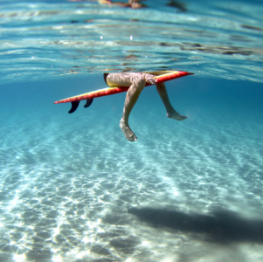 image related products