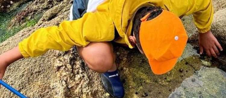 pêche à l'épuisette, crabes, bretagne