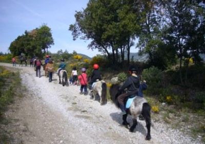 Equitation, Graines d'artistes et Vie de la Ferme
