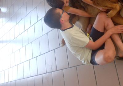 MAGIC CIRCUS ET CANI-RANDO