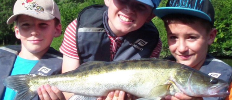 Pêche du sandre aux leurre souple