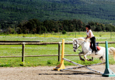 100 % EQUITATION PASSION