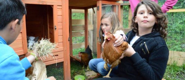 mini-ferme du centre