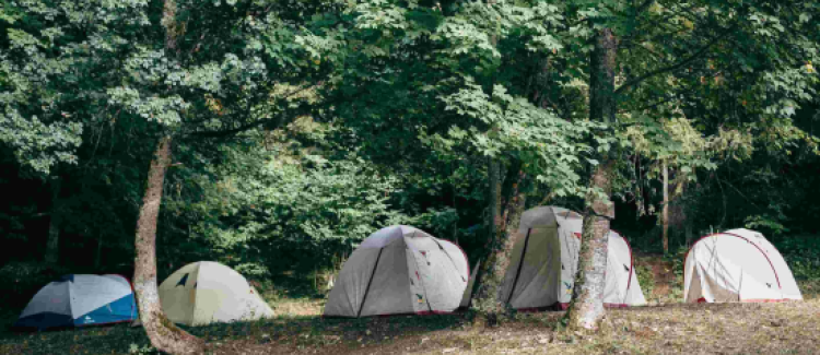 Robinson du Vercors ETERPA